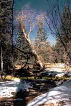 Apache Canyon Trail #1