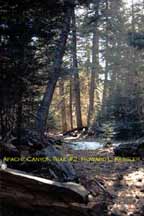 Apache Canyon Trail #2