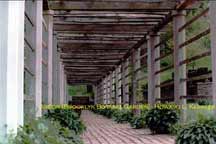 Arbor (Brooklyn Botanic Garden)