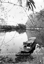 Boat on the River in the Sugar Cane Groves #1