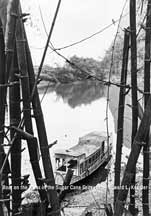 Boat on the River in the Sugar Cane Groves #2