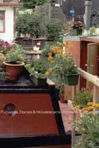 Flowers, Ducks & Houseboats