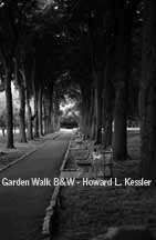 Garden Walk B&W