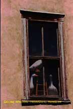 Goose Window