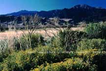 Great Sand Dunes in Distance