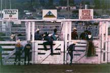 Hangin’ on the Gate (Rodeo de Sante Fe)