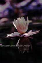 Lotus & Reflection
