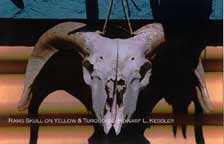 Rams Skull on Yellow & Turquoise