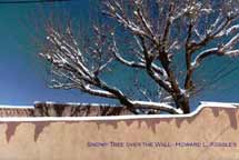 Snowy Tree over the Wall